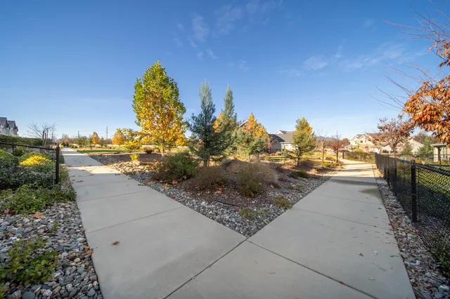a view of a yard and ocean