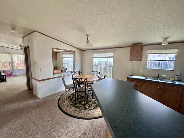 106 Ramirez Street Kyle, TX 78640 - Photo 8 of 19 An open-concept living space integrates a dining area and kitchen with ample natural light.