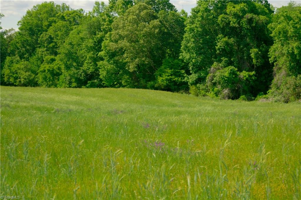 2 Powell Bridge Road Harmony, NC 28634 - Photo 7 of 30