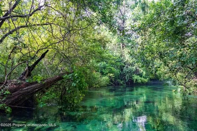 $369,000 | 6448 West Richard Drive, Weeki Wachee, FL 34607