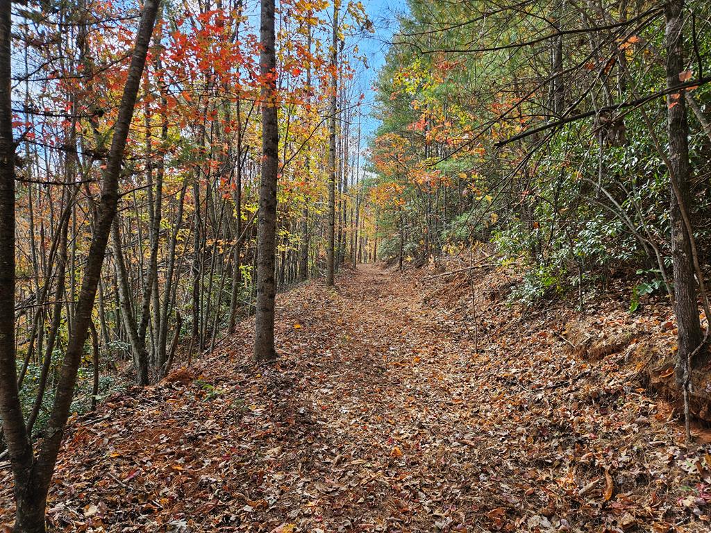125 Ahart Ridge Road, Unit 381001 Cana, VA 24317 - Photo 29 of 59 Gallery Image 29