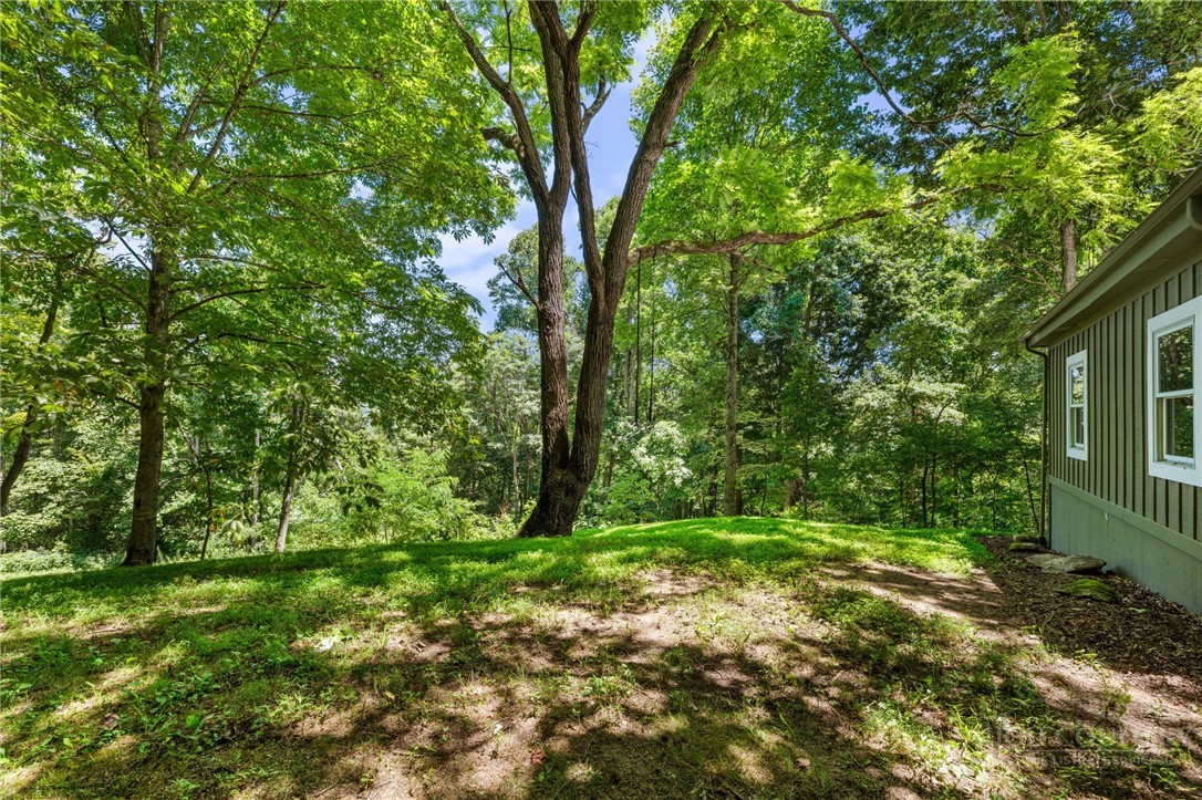 5269 Flat Springs Road Elk Park, NC 28622 - Photo 28 of 36