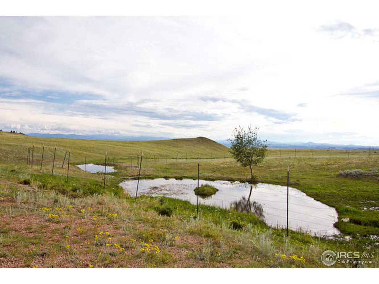 1960 Old Ranch Road Livermore, CO 80536 - Photo 1 of 25 Gallery Image 1