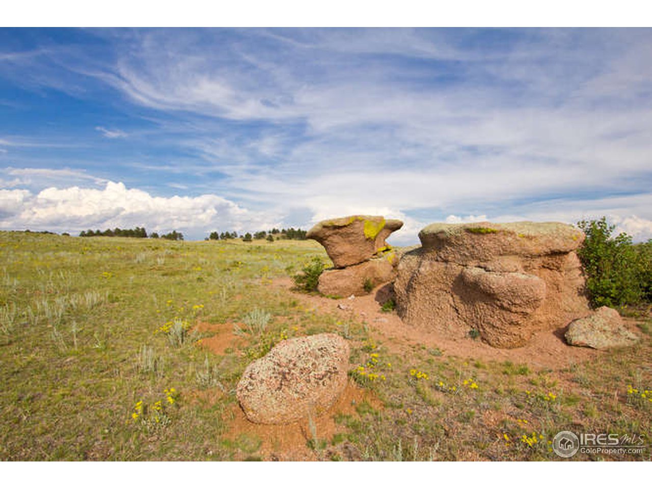 1960 Old Ranch Road Livermore, CO 80536 - Photo 11 of 25 Gallery Image 11