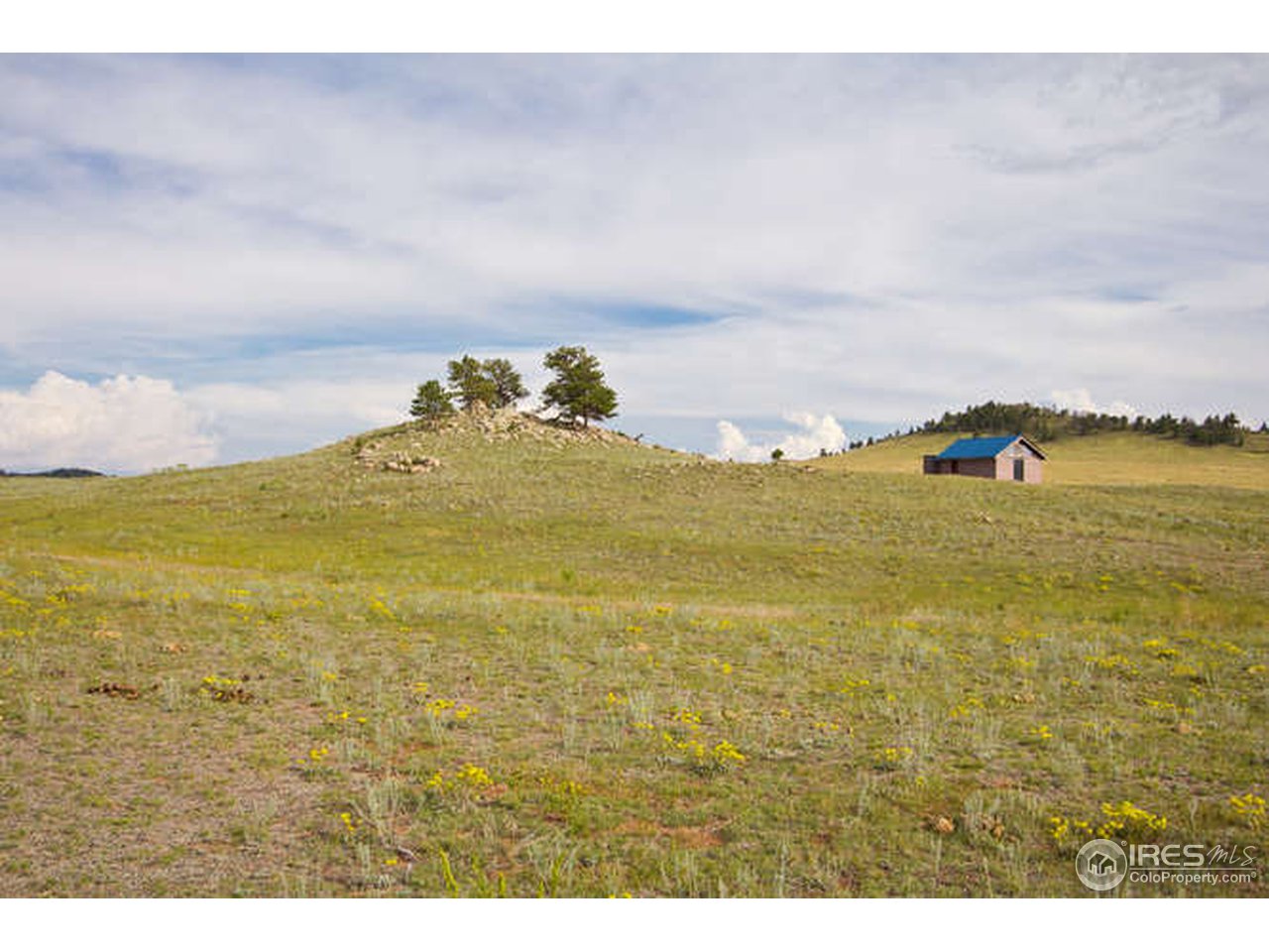 1960 Old Ranch Road Livermore, CO 80536 - Photo 12 of 25 Gallery Image 12