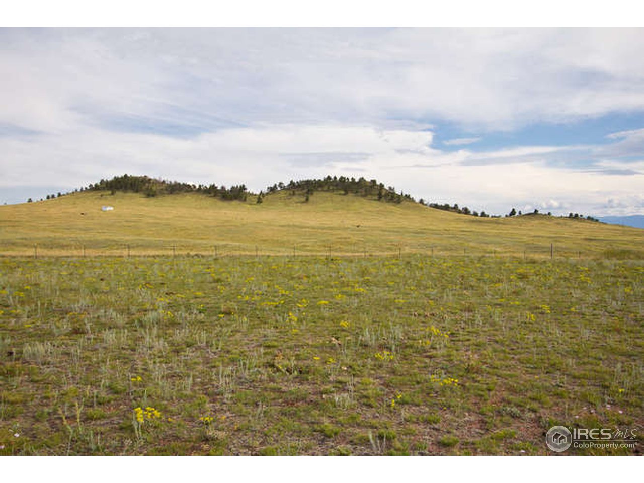 1960 Old Ranch Road Livermore, CO 80536 - Photo 17 of 25 Gallery Image 17