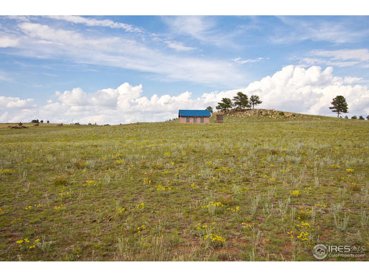 1960 Old Ranch Road Livermore, CO 80536 - Photo 18 of 25 Gallery Image 18