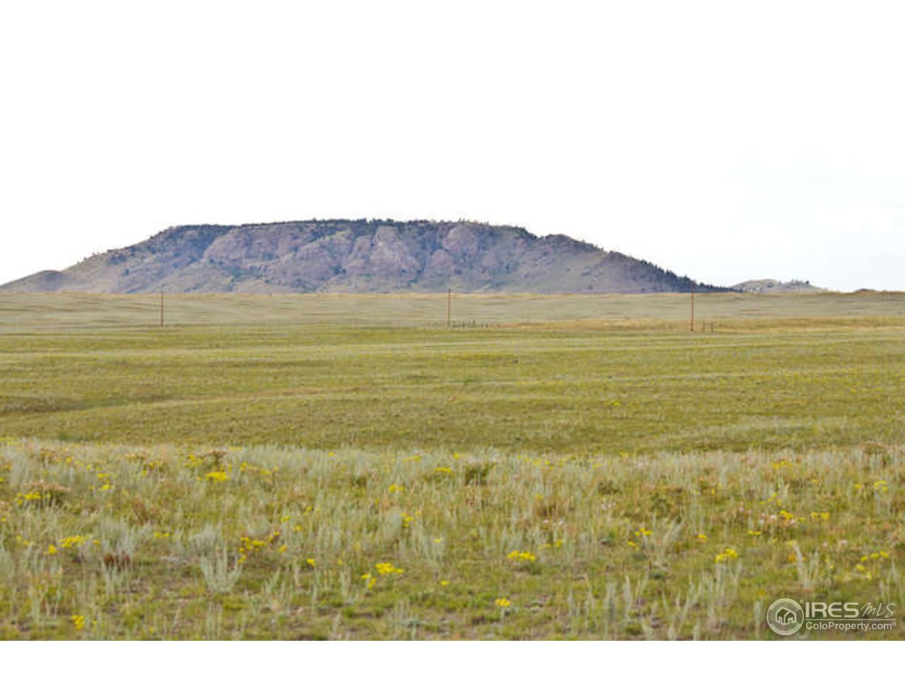 1960 Old Ranch Road Livermore, CO 80536 - Photo 20 of 25 Gallery Image 20