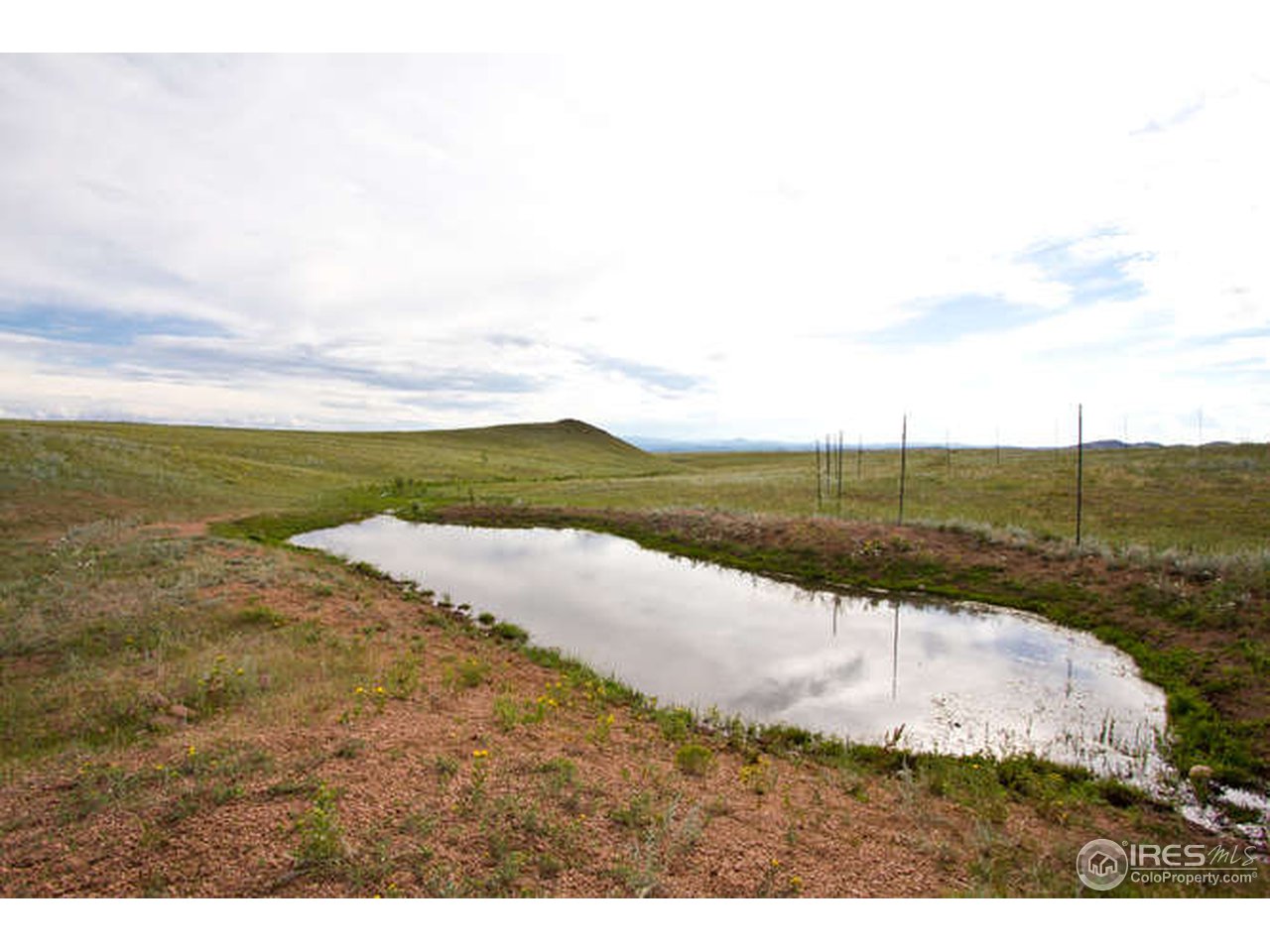 1960 Old Ranch Road Livermore, CO 80536 - Photo 2 of 25 Gallery Image 2