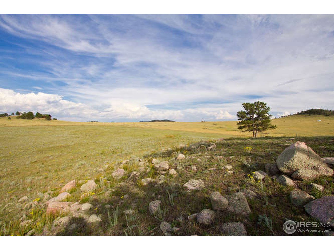 1960 Old Ranch Road Livermore, CO 80536 - Photo 5 of 25 Gallery Image 5