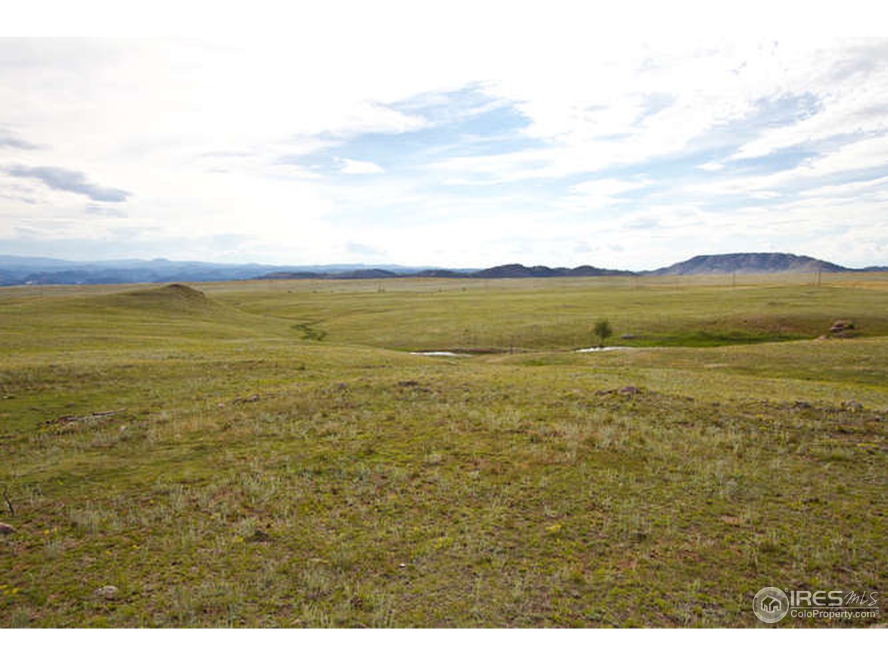 1960 Old Ranch Road Livermore, CO 80536 - Photo 7 of 25 Gallery Image 7