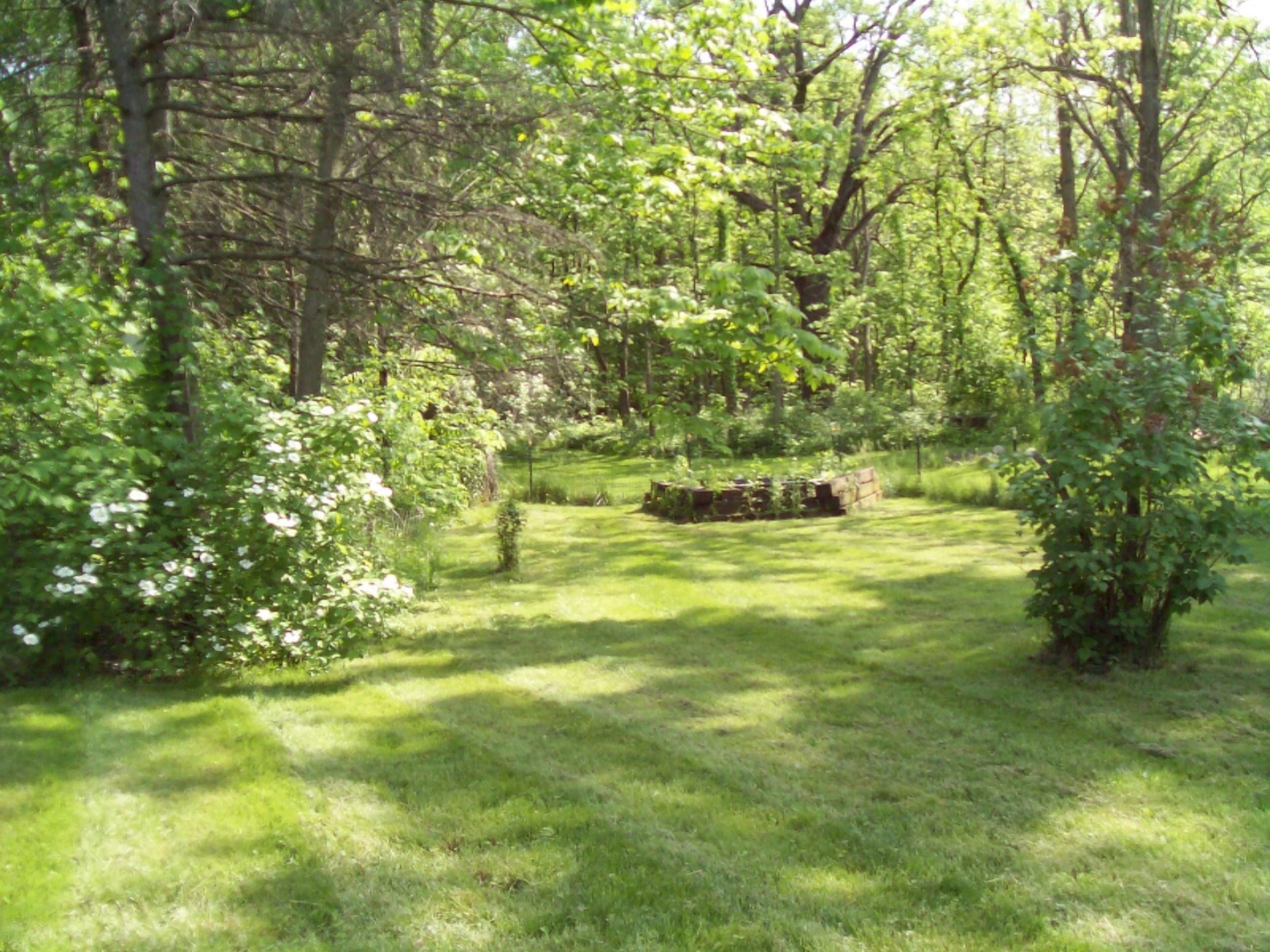 3985 Potters Road Ionia, MI 48846 - Photo 15 of 45 3985 Potters Rd 017
