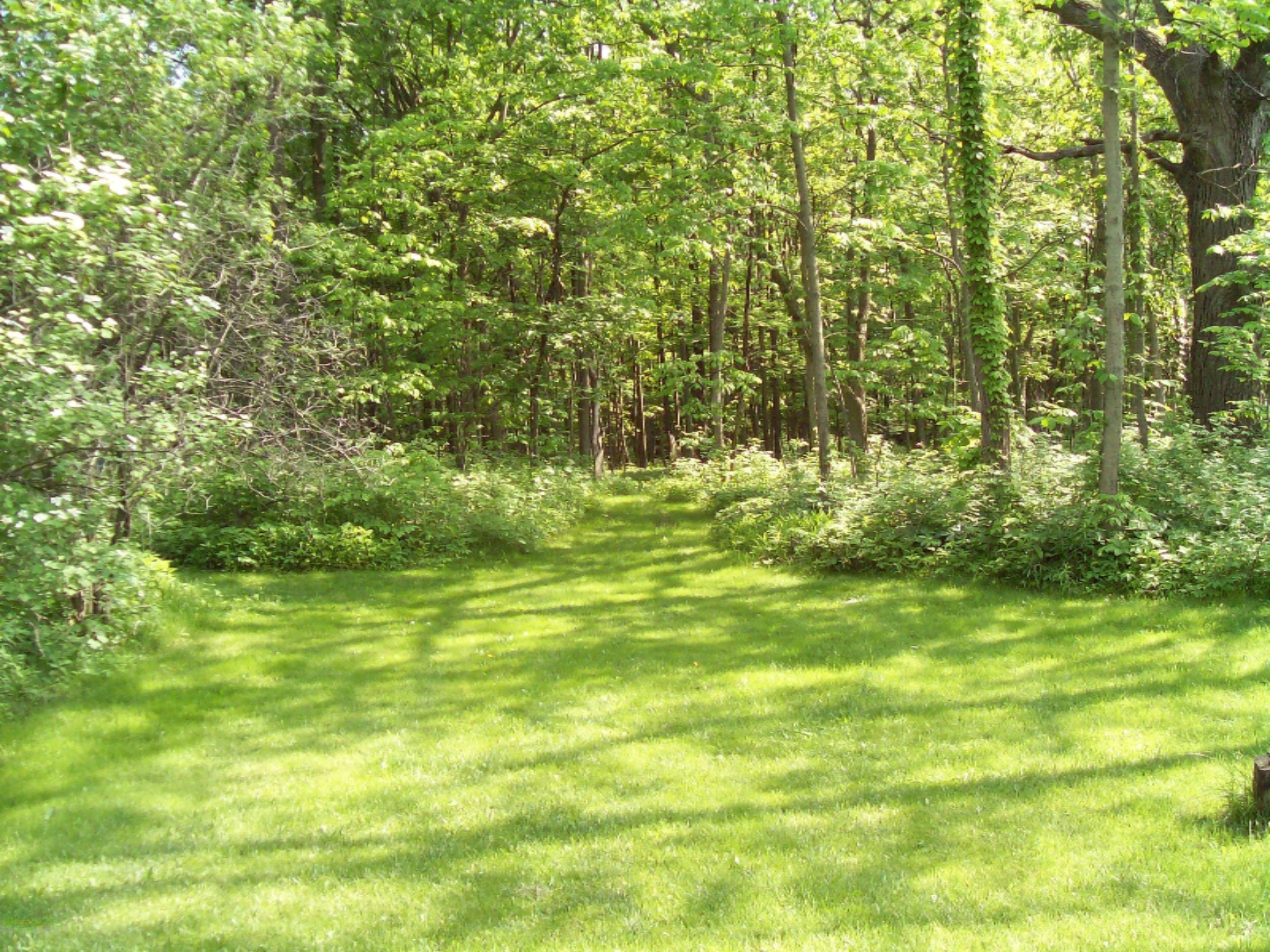 3985 Potters Road Ionia, MI 48846 - Photo 16 of 45 3985 Potters Rd 018