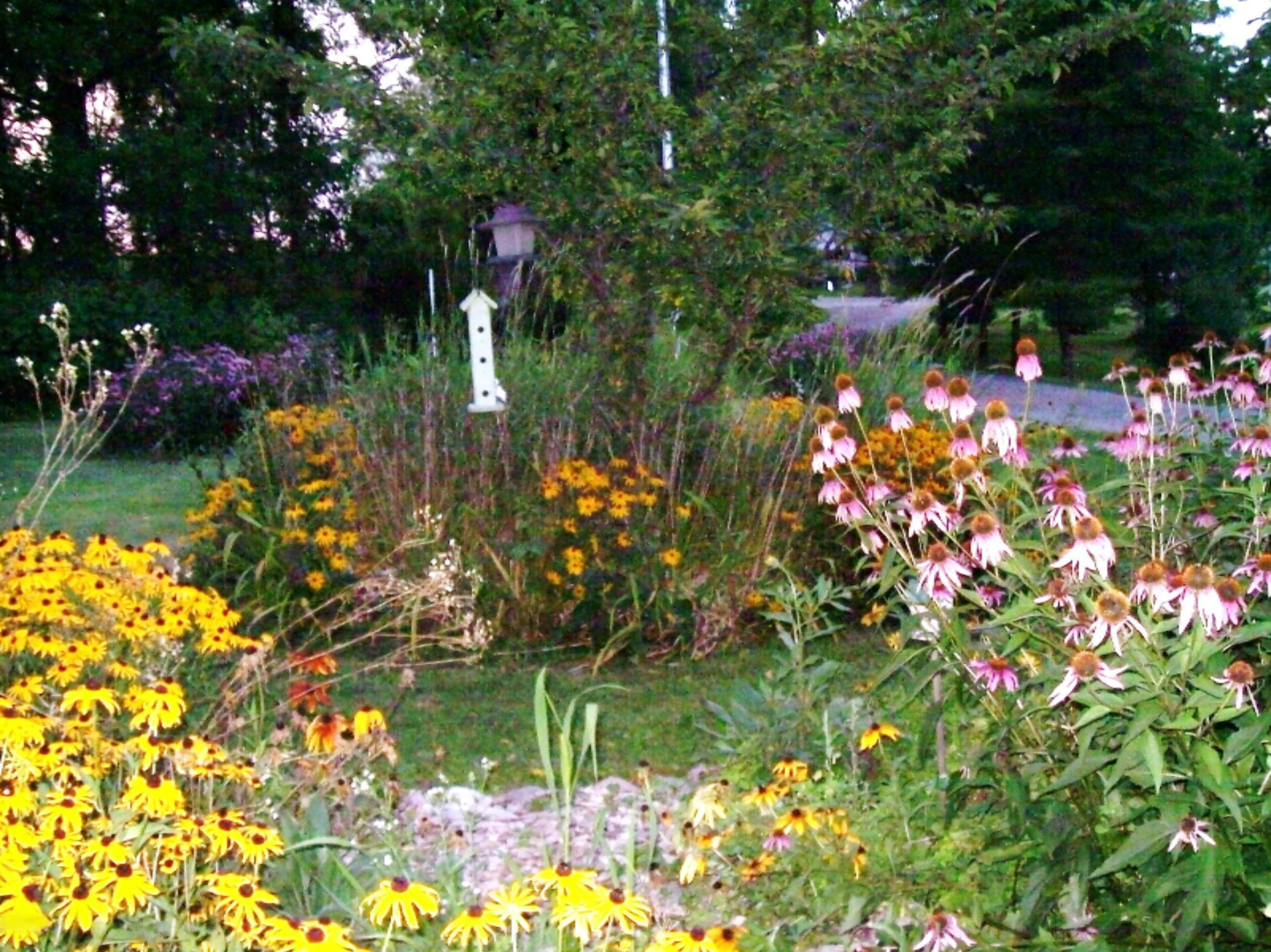 3985 Potters Road Ionia, MI 48846 - Photo 23 of 45 potters rd 005