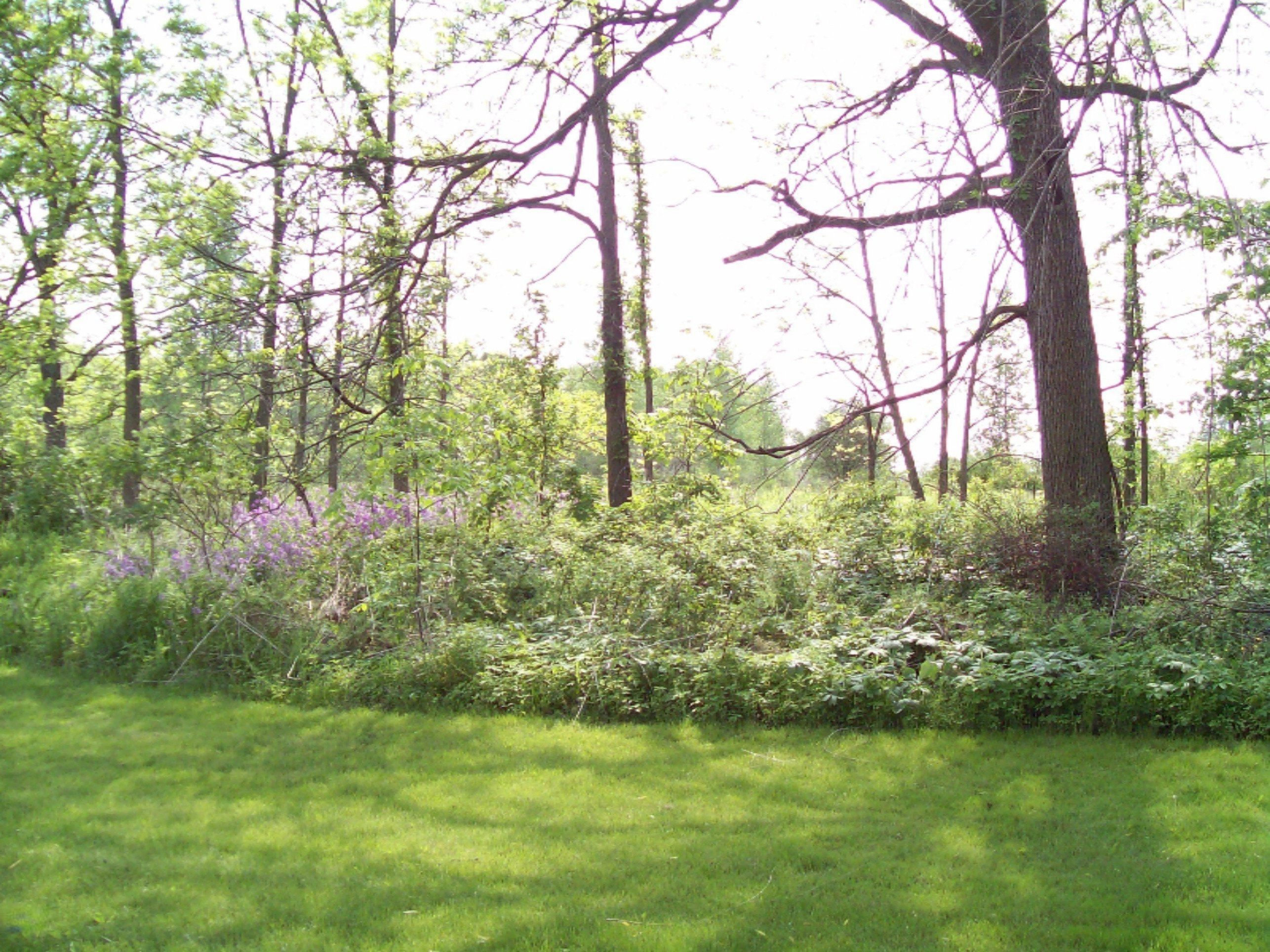 3985 Potters Road Ionia, MI 48846 - Photo 8 of 45 3985 Potters Rd 006