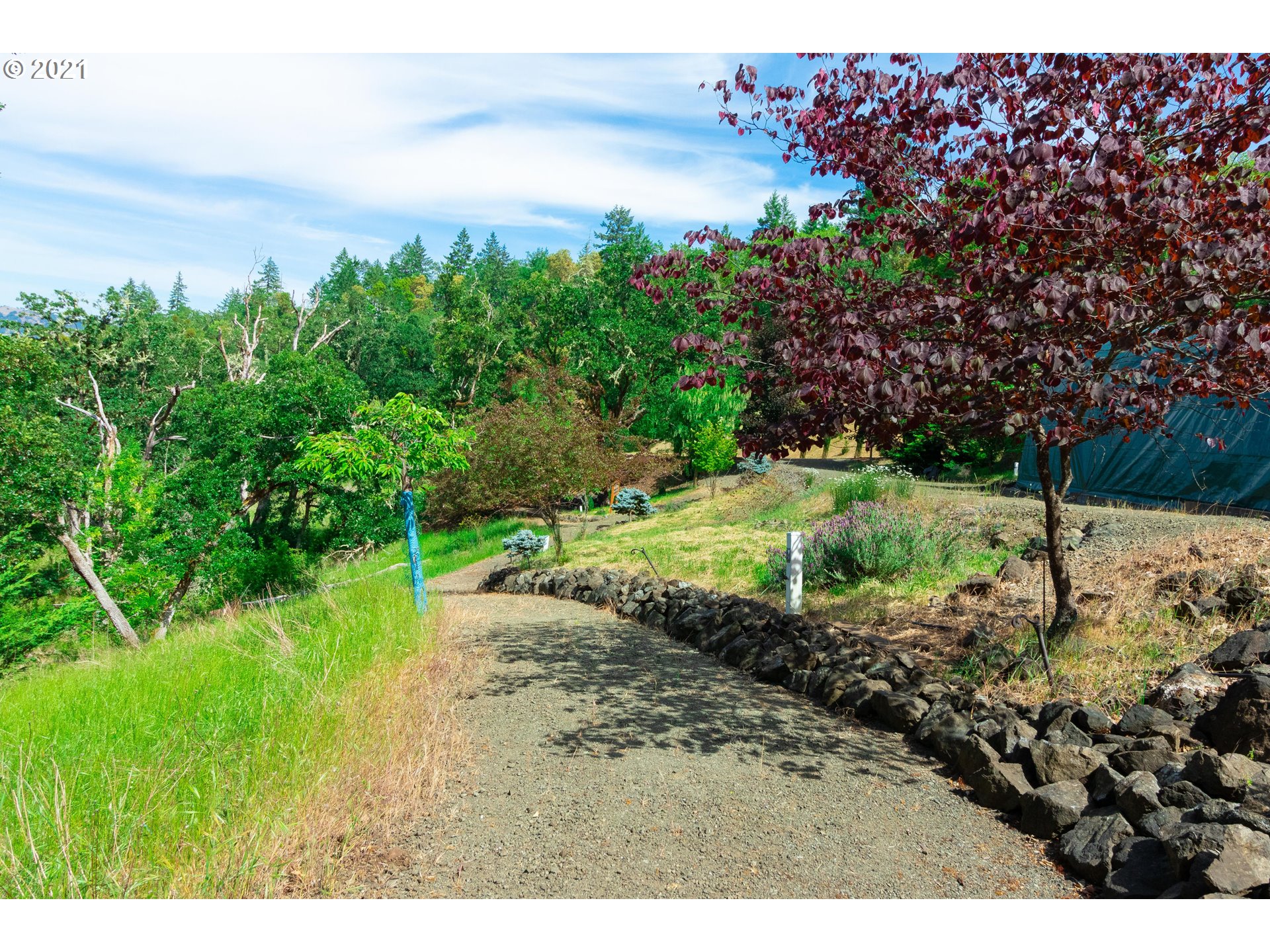 162 Summit Ridge Lane Roseburg, OR 97471 - Photo 3 of 16 Gallery Image 3