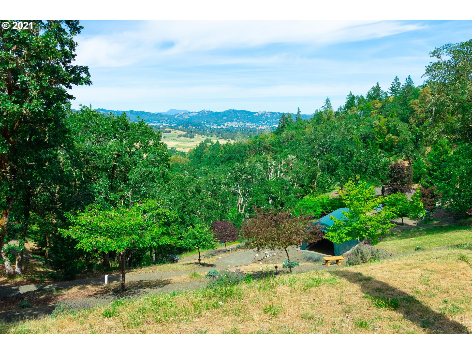 162 Summit Ridge Lane Roseburg, OR 97471 - Photo 4 of 16 Gallery Image 4