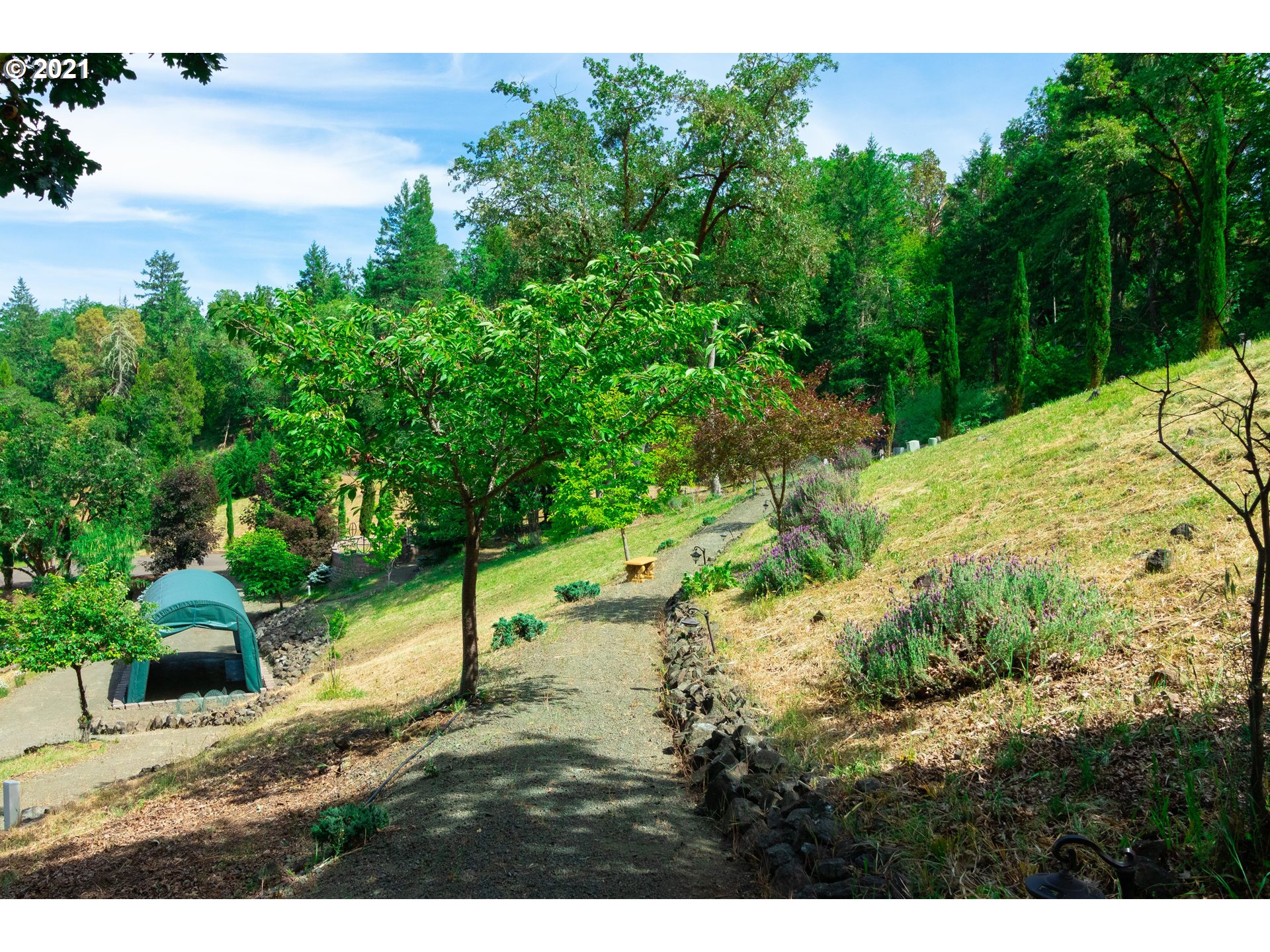 162 Summit Ridge Lane Roseburg, OR 97471 - Photo 5 of 16 Gallery Image 5