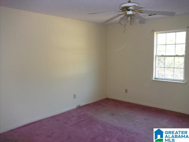 1000 Nottingham Road Alpine, AL 35014 - Photo 5 of 9
