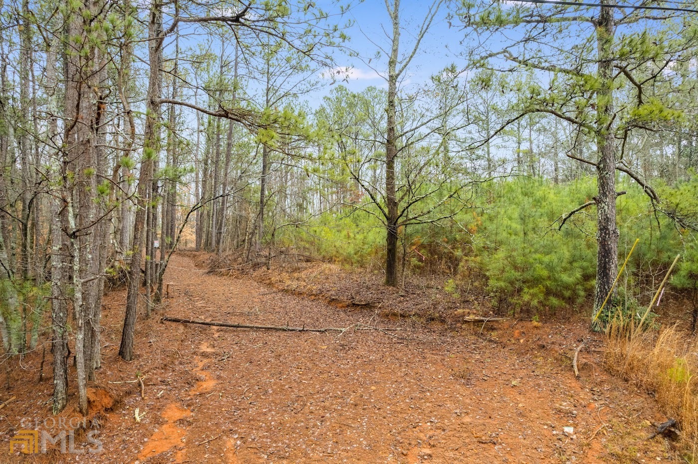 0 Maple Hill Road, Unit TRACT B Carrollton, GA 30116 - Photo 1 of 1 a backyard of a house with lots of green space