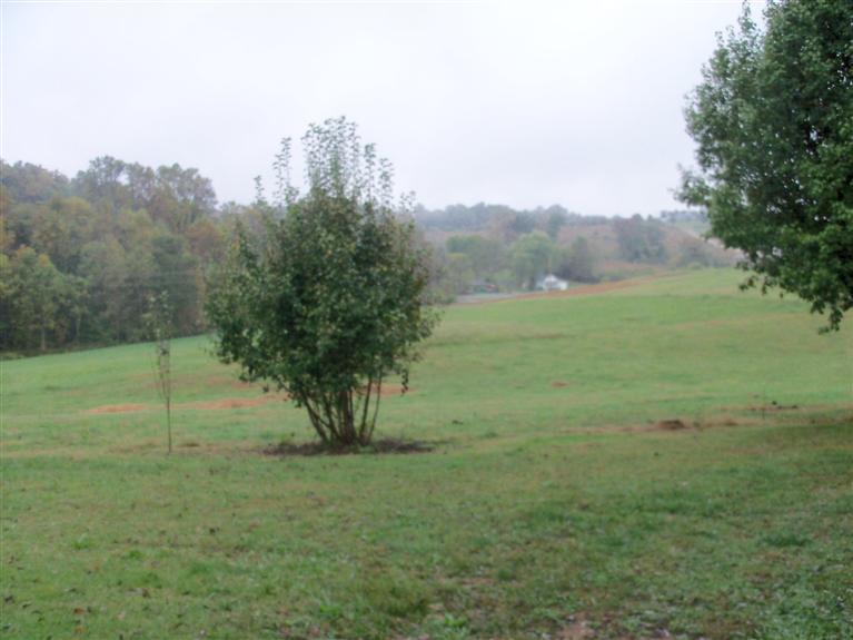 91 Mt Zion Church Road Nancy, KY 42544 - Photo 16 of 16 Additional Photo