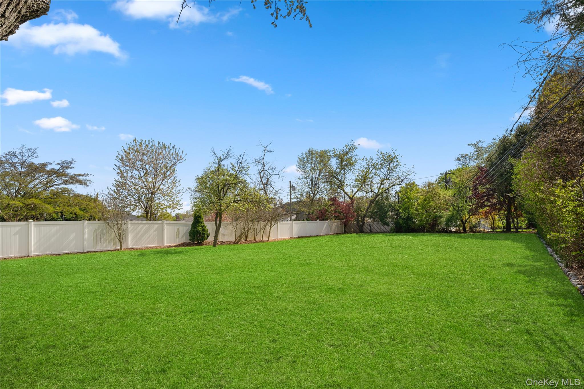 150 Roxton Road Plainview, NY 11803 - Photo 20 of 25 a view of a yard with a house in the background