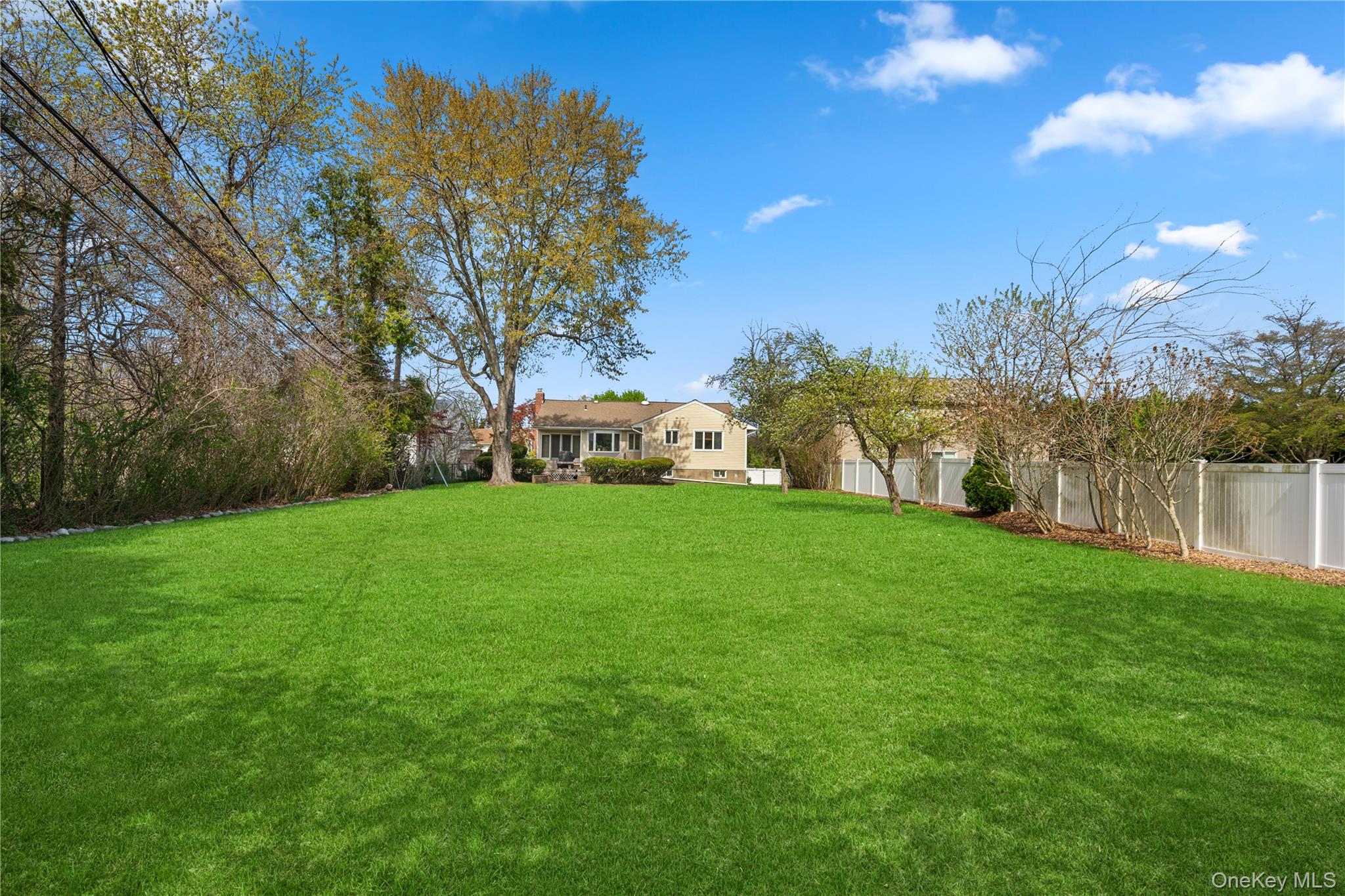 150 Roxton Road Plainview, NY 11803 - Photo 21 of 25 a view of yard with green space