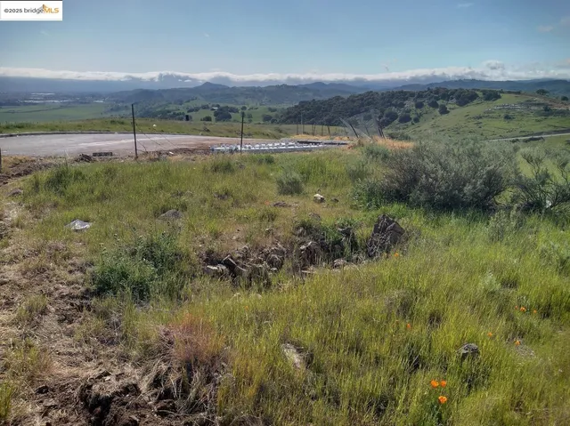 a view of a lush green field
