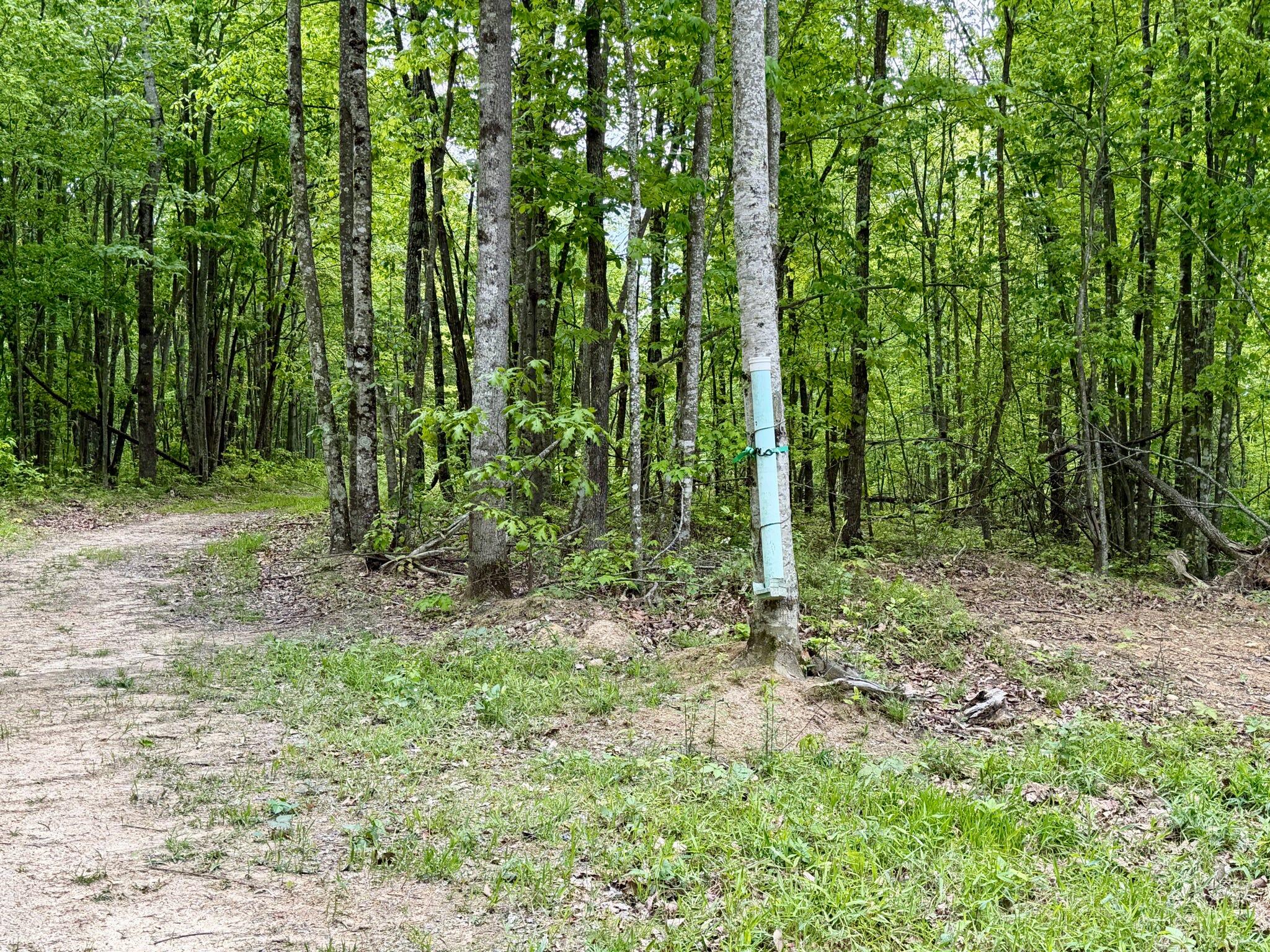 100 A Open Fork Road Morehead, KY 40351 - Photo 25 of 75 Trail