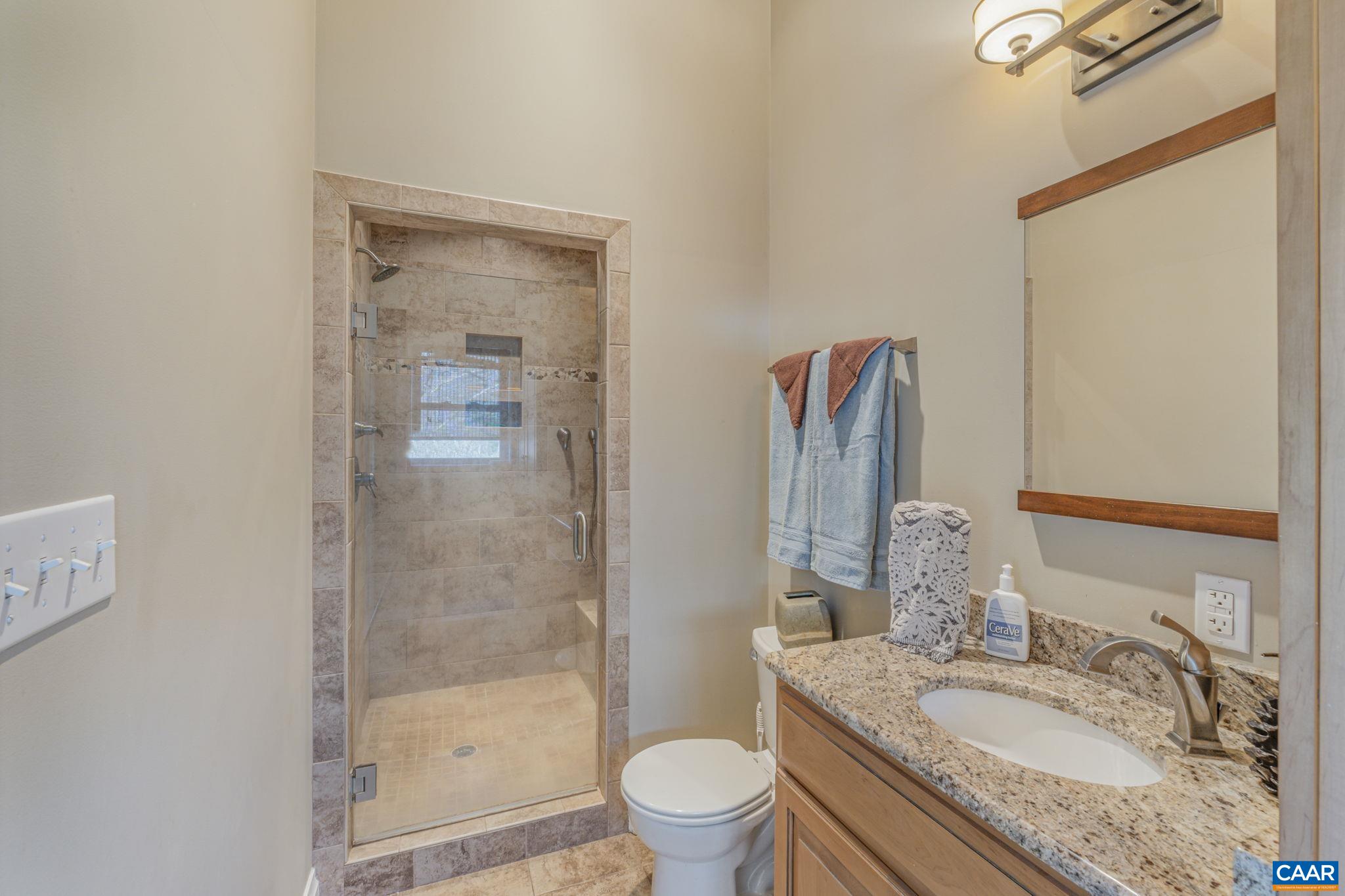 1353 Banton Shop Road Dillwyn, VA 23936 - Photo 26 of 57 a bathroom with a granite countertop sink a toilet and shower