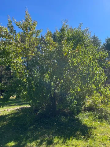 $235,000 | 879 Hudson Road, Glenburn, ME 04401