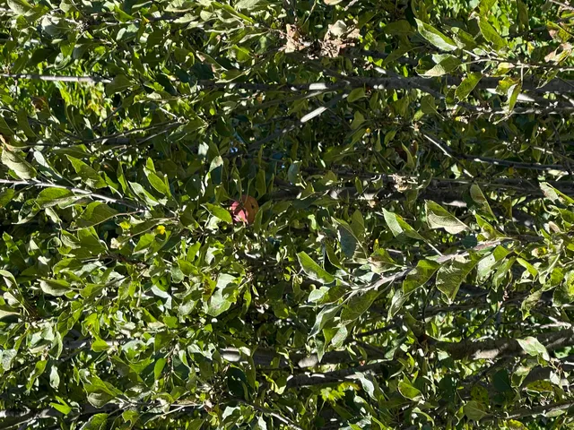 $235,000 | 879 Hudson Road, Glenburn, ME 04401