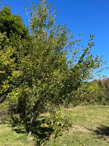 $235,000 | 879 Hudson Road, Glenburn, ME 04401