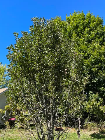 $223,000 | 879 Hudson Road, Glenburn, ME 04401