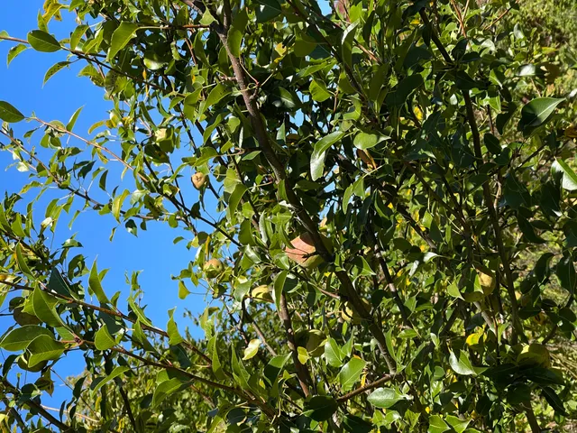 $235,000 | 879 Hudson Road, Glenburn, ME 04401