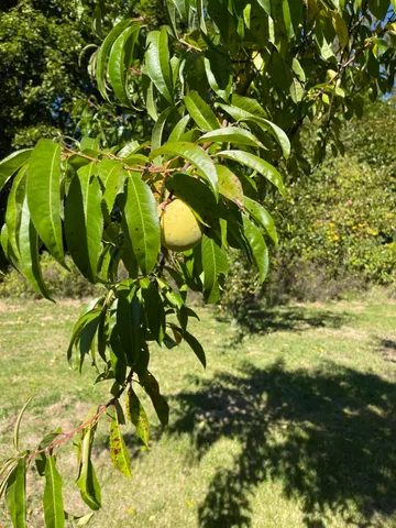 $235,000 | 879 Hudson Road, Glenburn, ME 04401