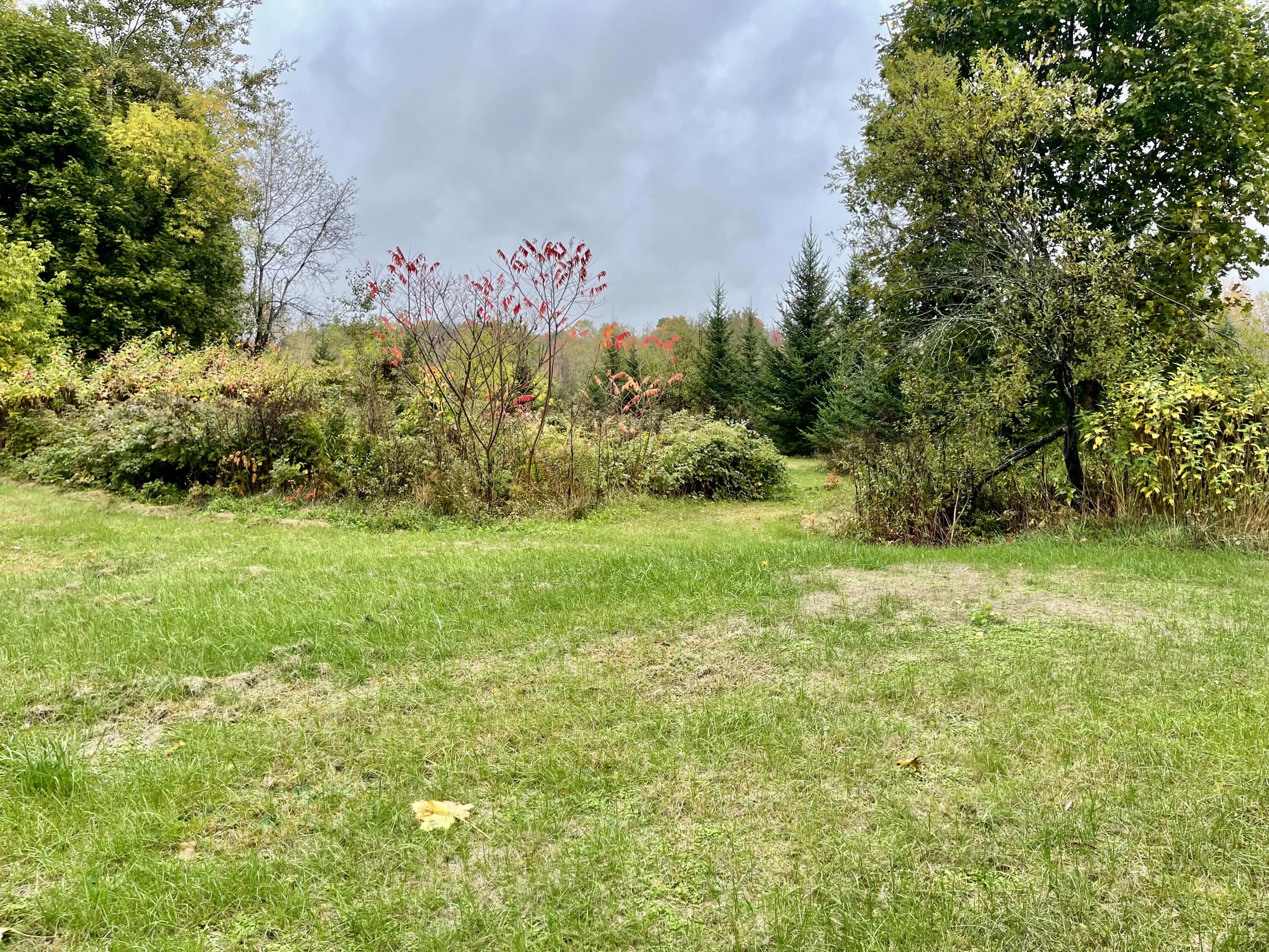 879 Hudson Road Glenburn, ME 04401 - Photo 58 of 74 IMG_9918