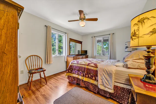 a backyard of a house with plants and a large tree