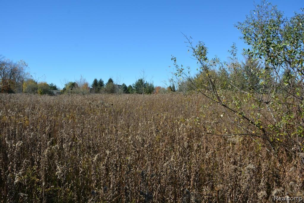 Vac Kidder Road Almont, MI 48003 - Photo 29 of 45