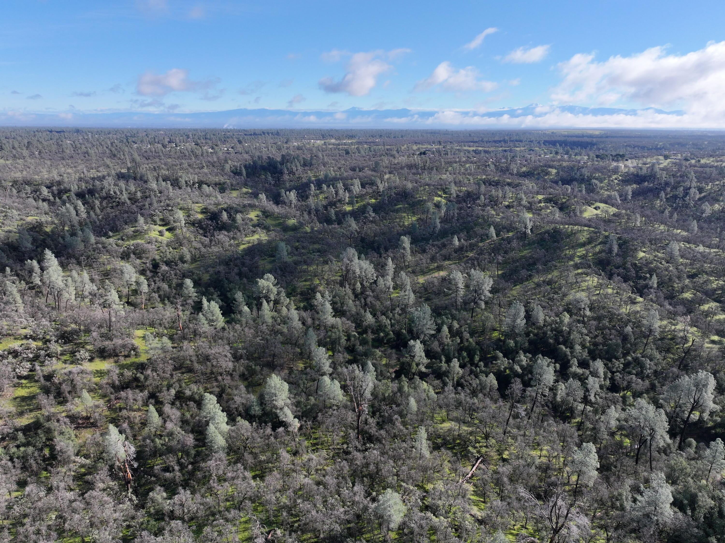 Happy Valley Road Cottonwood, CA 96022 - Photo 12 of 34 DJI_20260212095317_0027_D