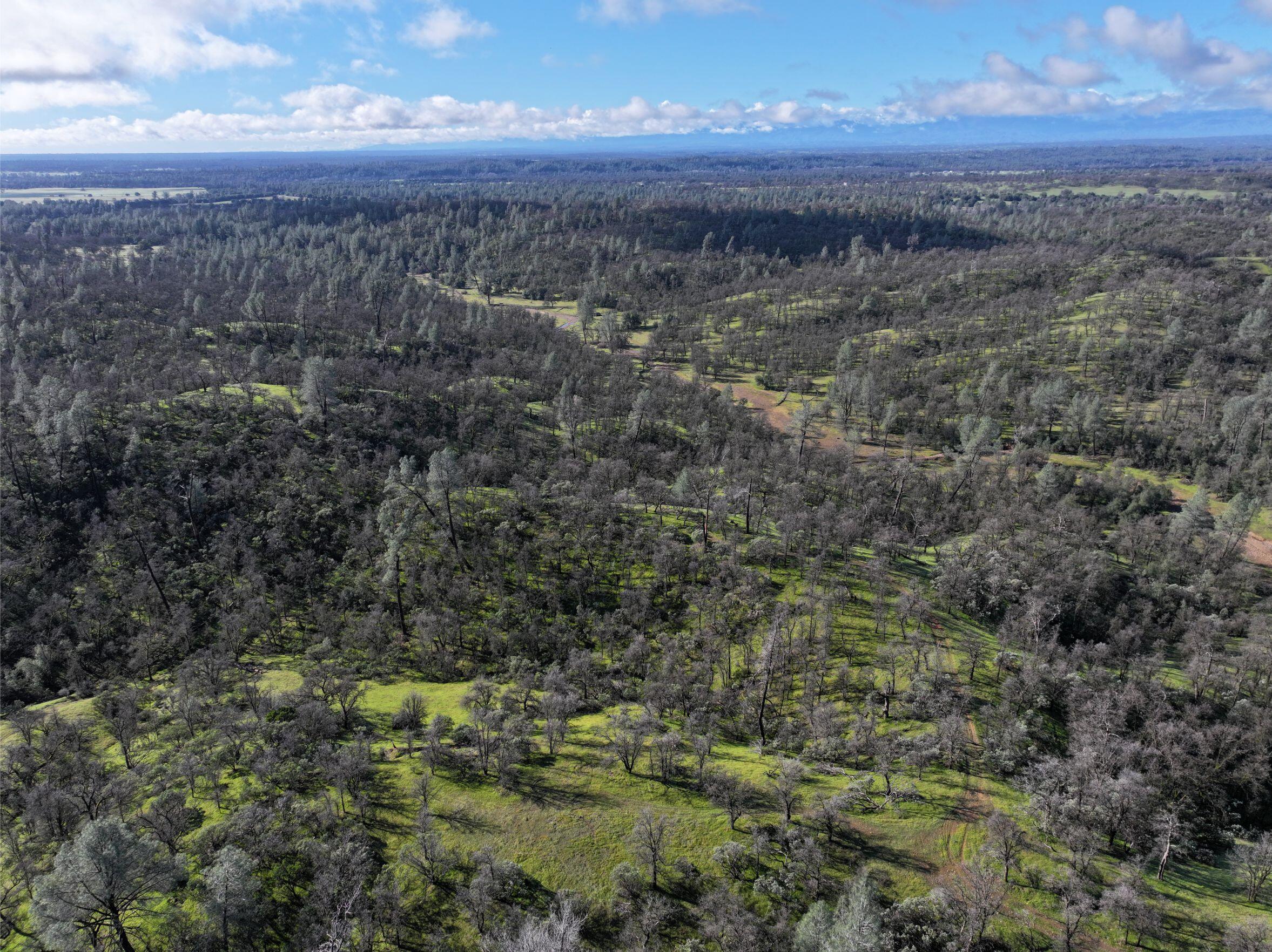Happy Valley Road Cottonwood, CA 96022 - Photo 4 of 34 a view of a yard next to a yard