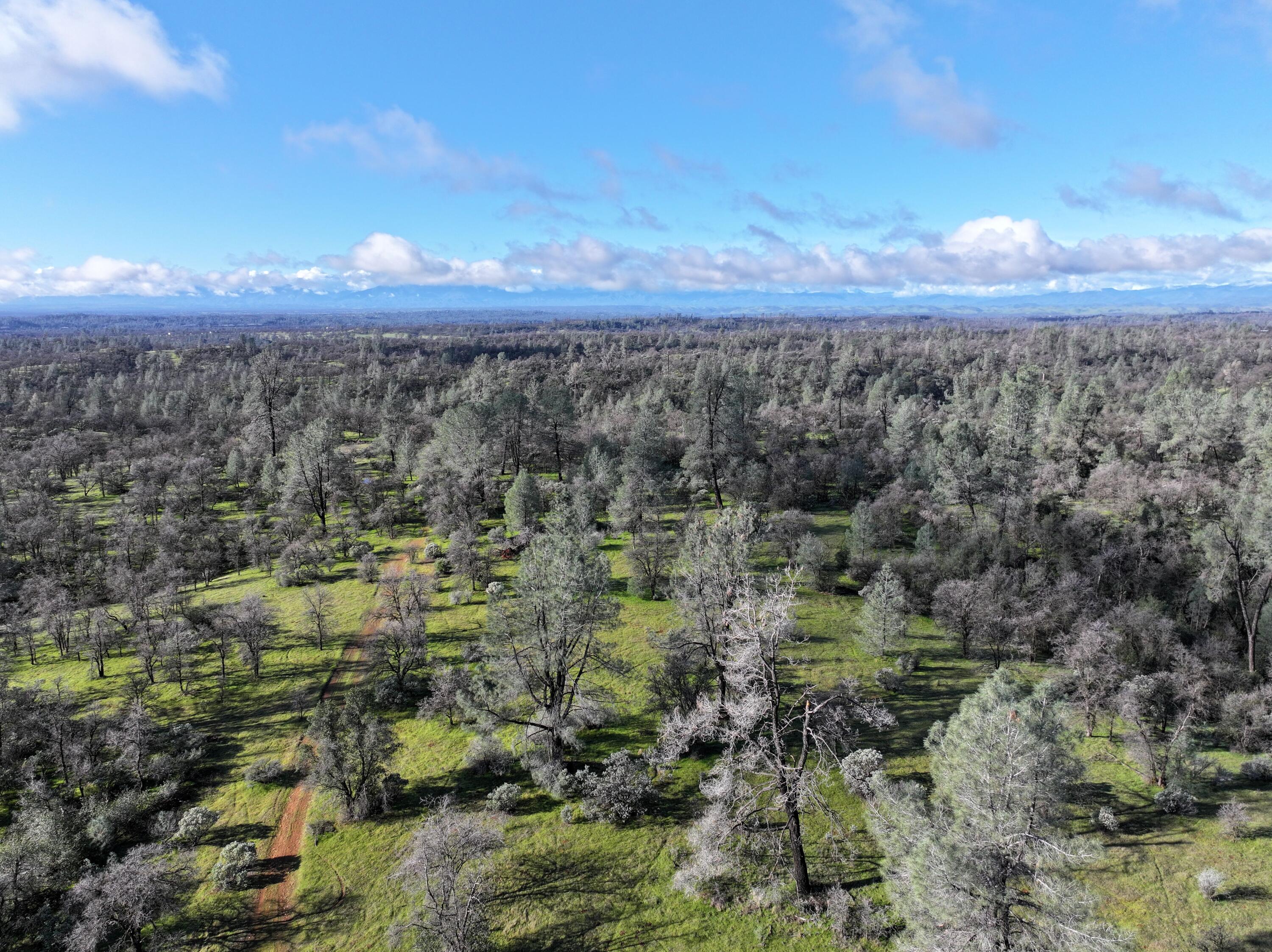 Happy Valley Road Cottonwood, CA 96022 - Photo 5 of 34 a view of a city