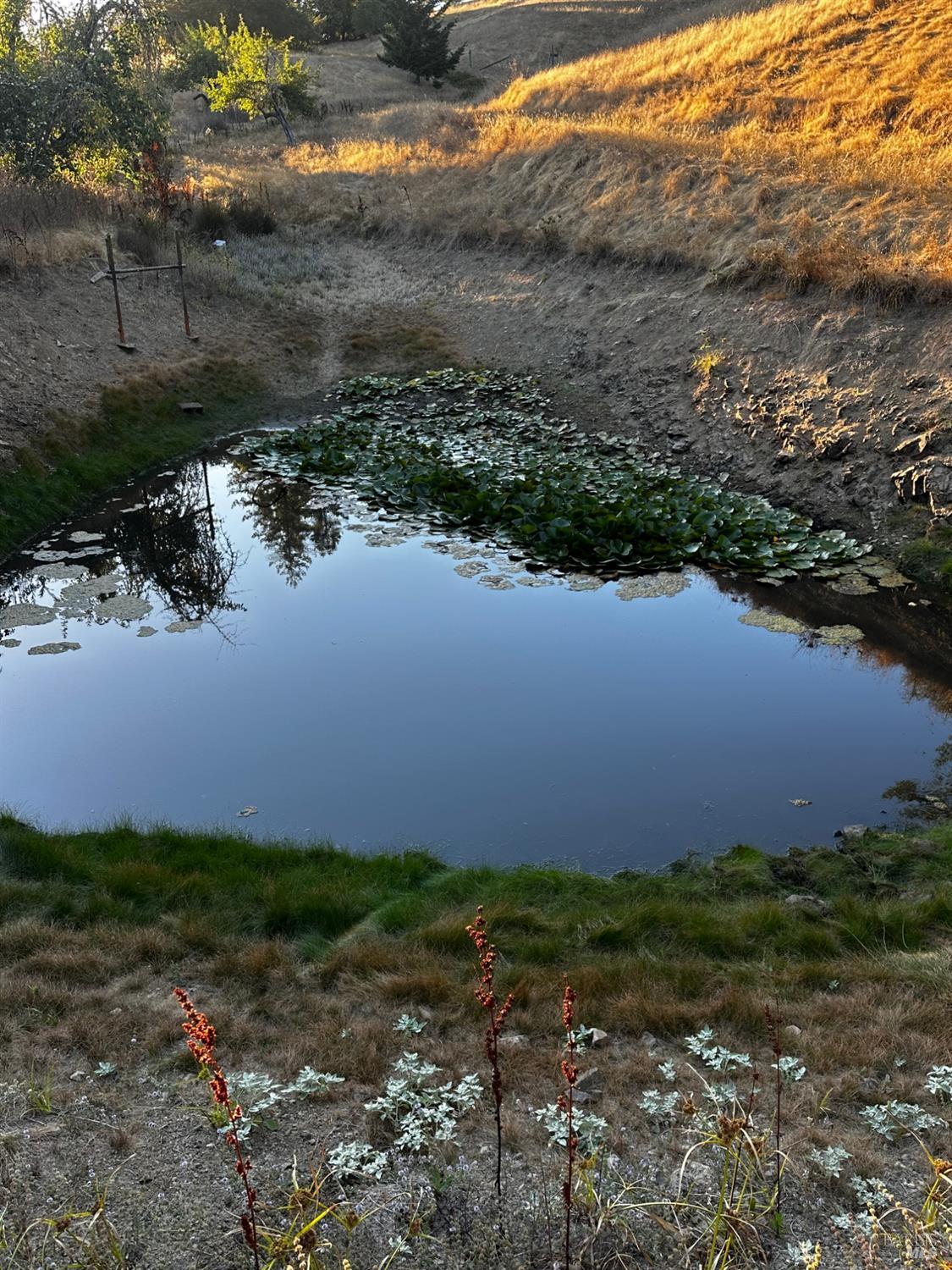 13333 Low Gap Road Ukiah, CA 95482 - Photo 32 of 50 a view of a lake with outdoor space