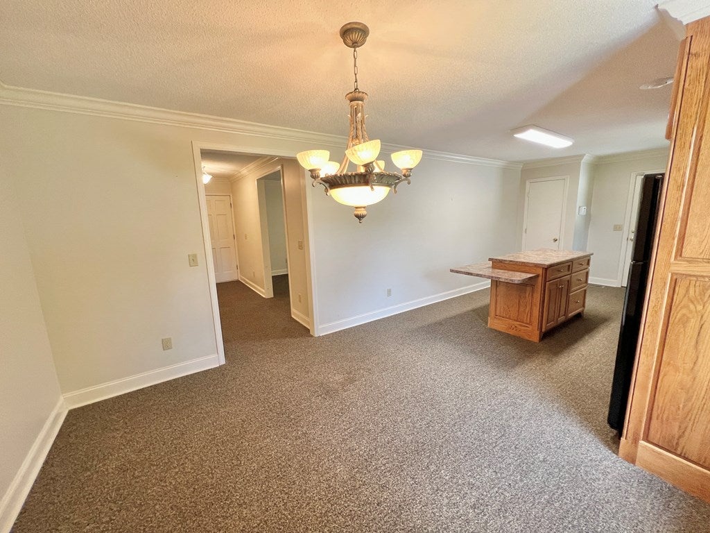197 Omega-Eldorado Road Tifton, GA 31794 - Photo 6 of 19 Gallery Image 6