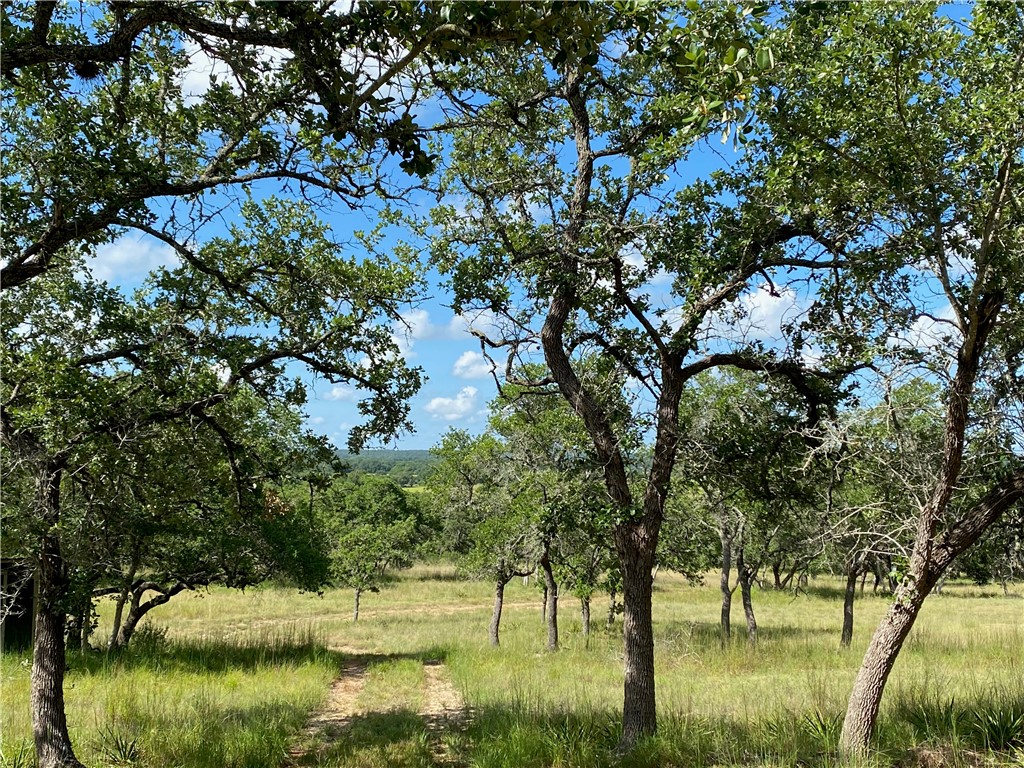 Lot 8 River Ridge Ranch Blanco, TX 78606 - Photo 1 of 1 Gallery Image 1