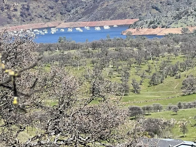 a view of a yard with a dry yard