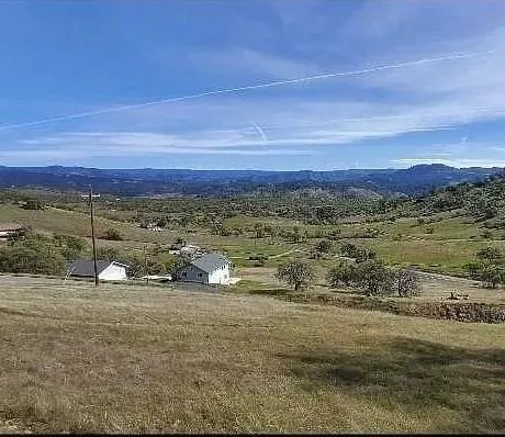 a view of a yard with a lake