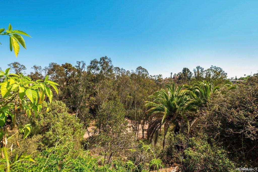 3023-3027 Olive Street San Diego, CA 92104 - Photo 18 of 41 View of Switzer Canyon from private patio, living room and kitchen