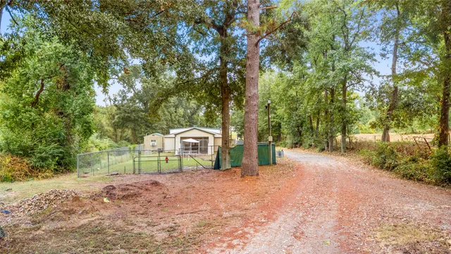 a view of a park with large trees