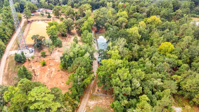 a close up of a plant